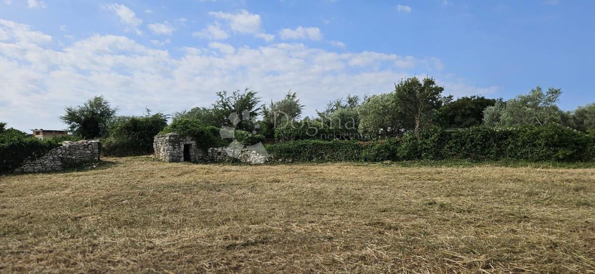 Terreno edificabile Vodnjan, 1.061m2