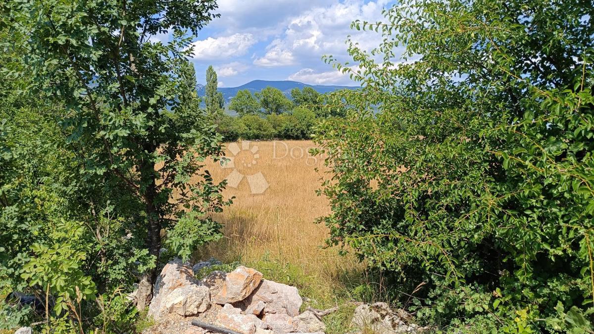 Terreno edificabile Soboli, Čavle, 3.500m2