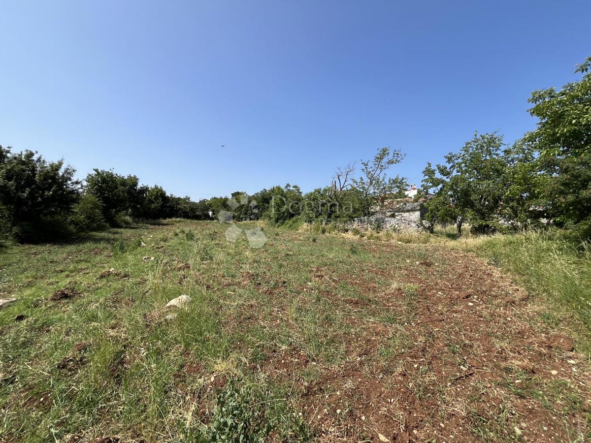 DINTORNI DI VIŠNJAN, BELLISSIMO TERRENO CON CASA IN PIETRA DA RISTRUTTURARE