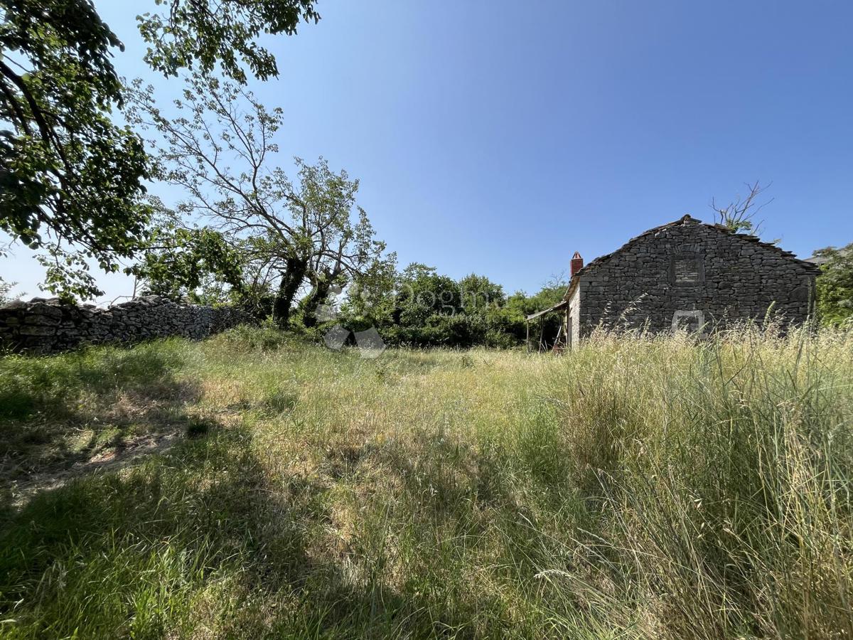 DINTORNI DI VIŠNJAN, BELLISSIMO TERRENO CON CASA IN PIETRA DA RISTRUTTURARE