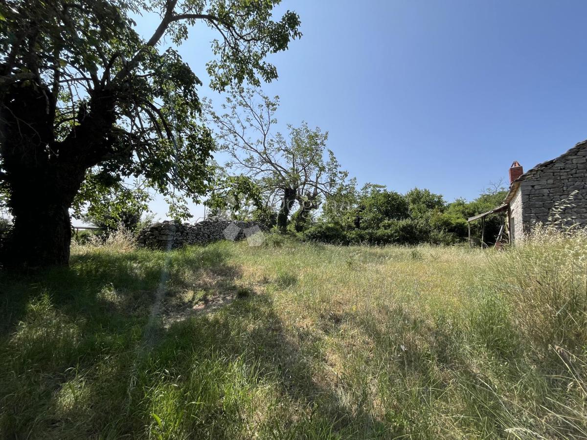 DINTORNI DI VIŠNJAN, BELLISSIMO TERRENO CON CASA IN PIETRA DA RISTRUTTURARE