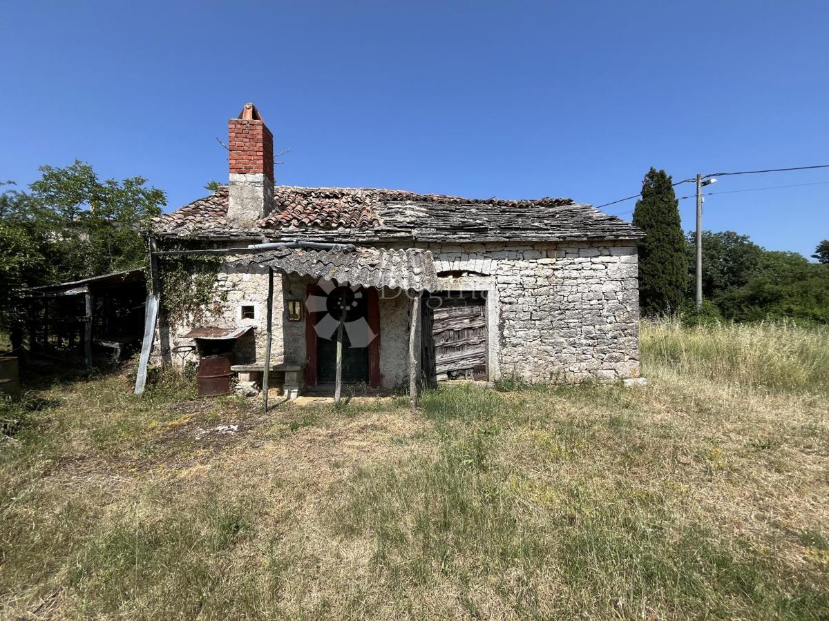 DINTORNI DI VIŠNJAN, BELLISSIMO TERRENO CON CASA IN PIETRA DA RISTRUTTURARE
