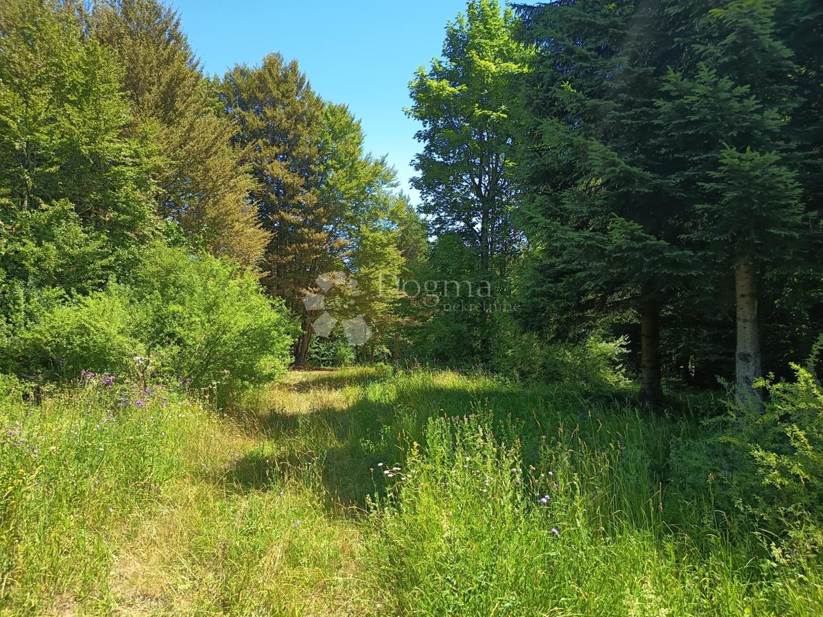 Terreno edificabile Saborsko, 4.514m2