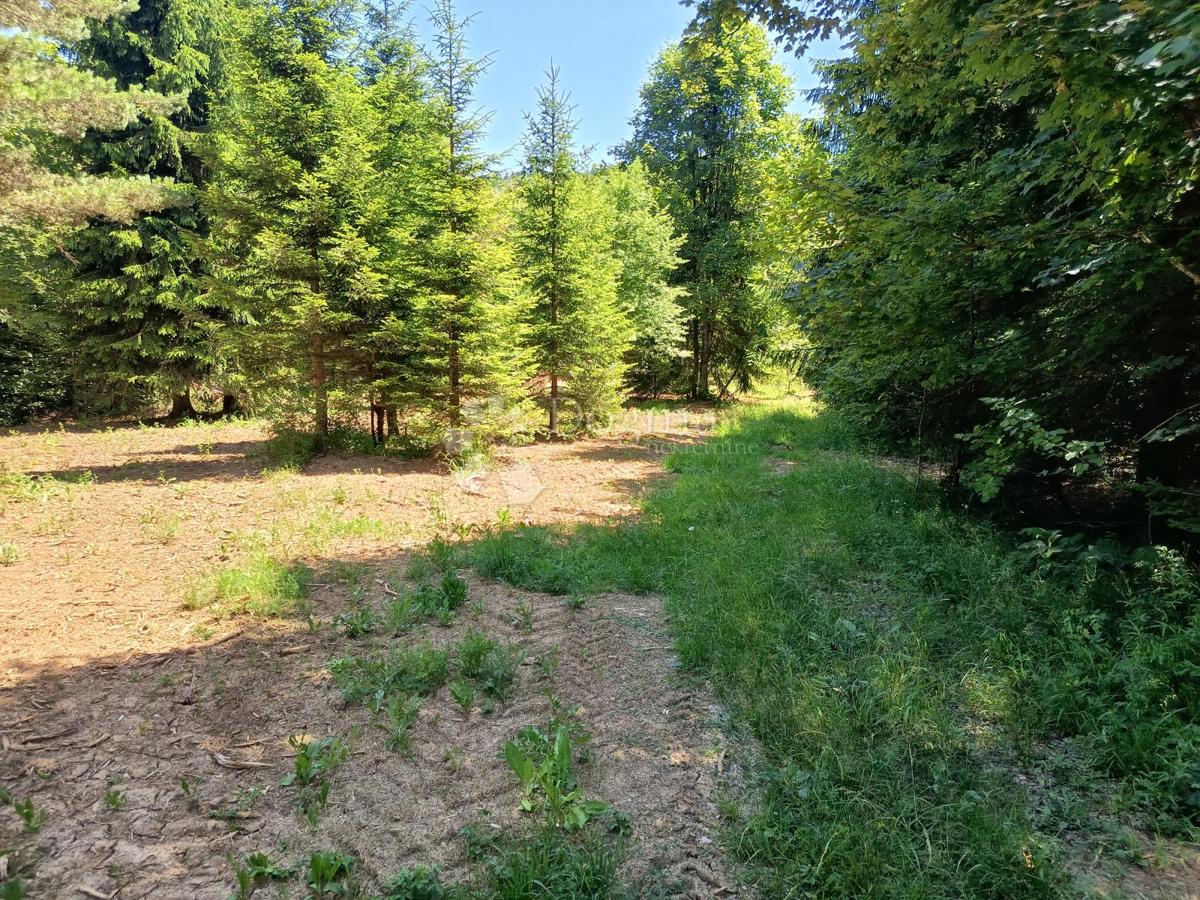 Terreno edificabile Saborsko, 4.514m2