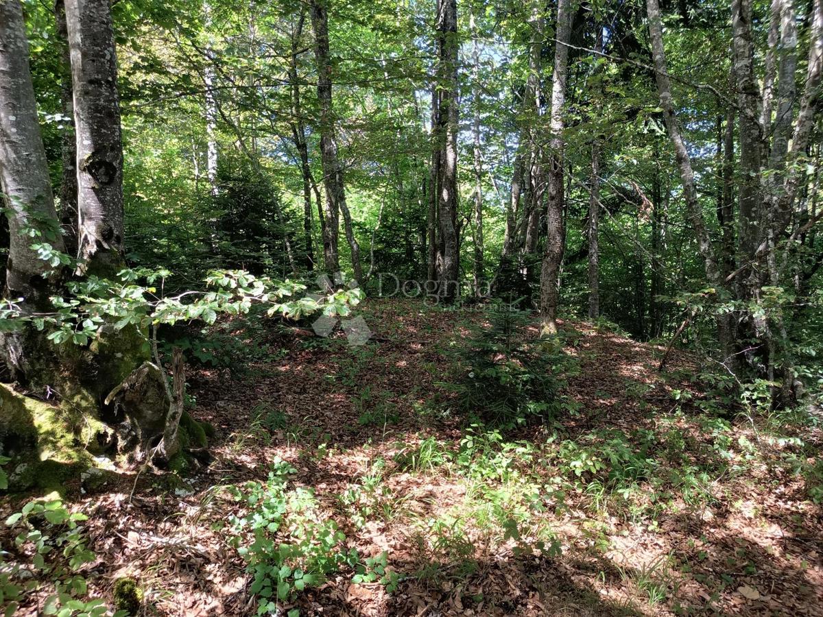 Terreno edificabile Saborsko, 4.514m2