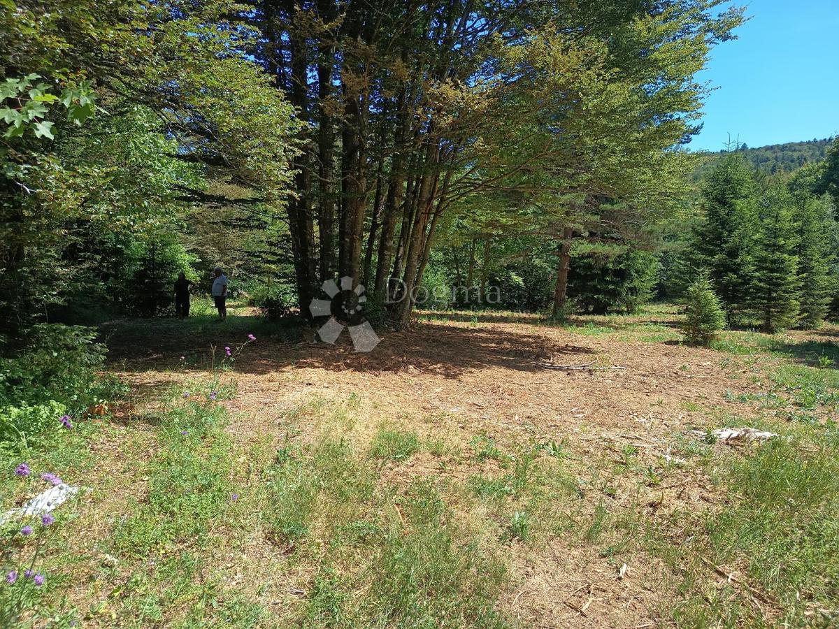 Terreno edificabile Saborsko, 4.514m2