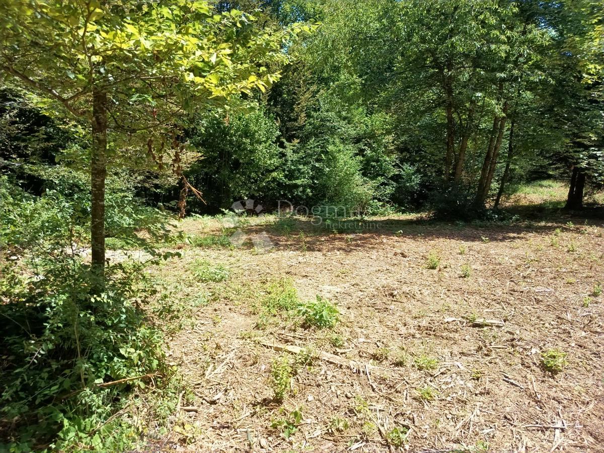 Terreno edificabile Saborsko, 4.514m2