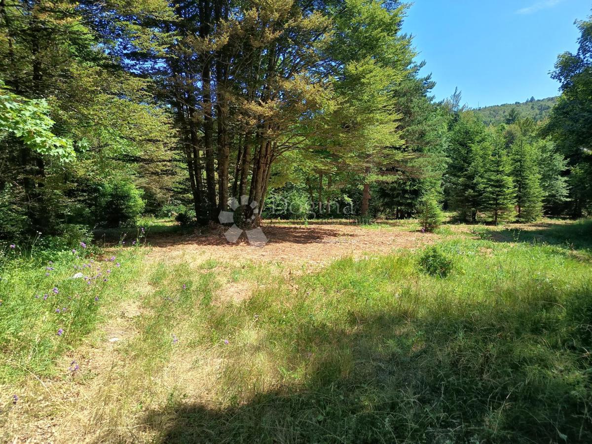 Terreno edificabile Saborsko, 4.514m2