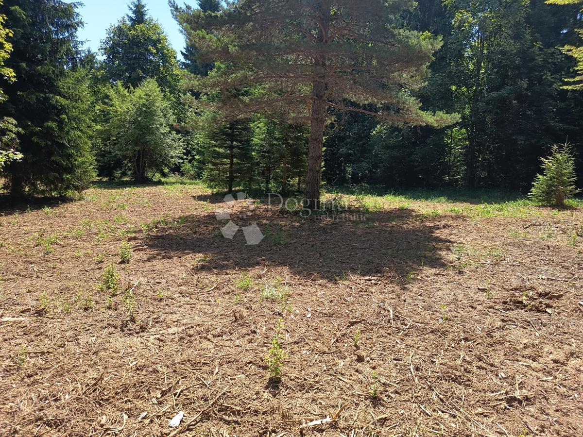 Terreno edificabile Saborsko, 4.514m2