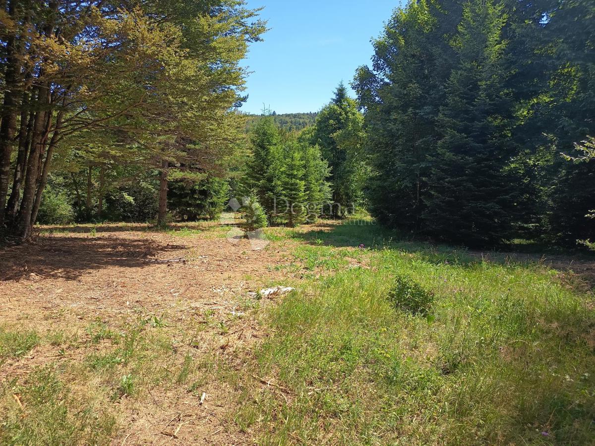 Terreno edificabile Saborsko, 4.514m2