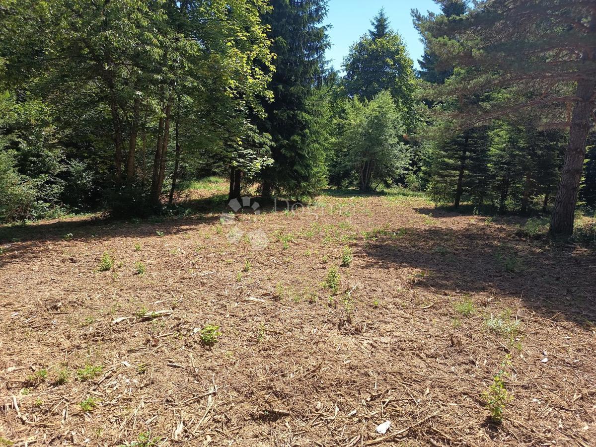 Terreno edificabile Saborsko, 4.514m2