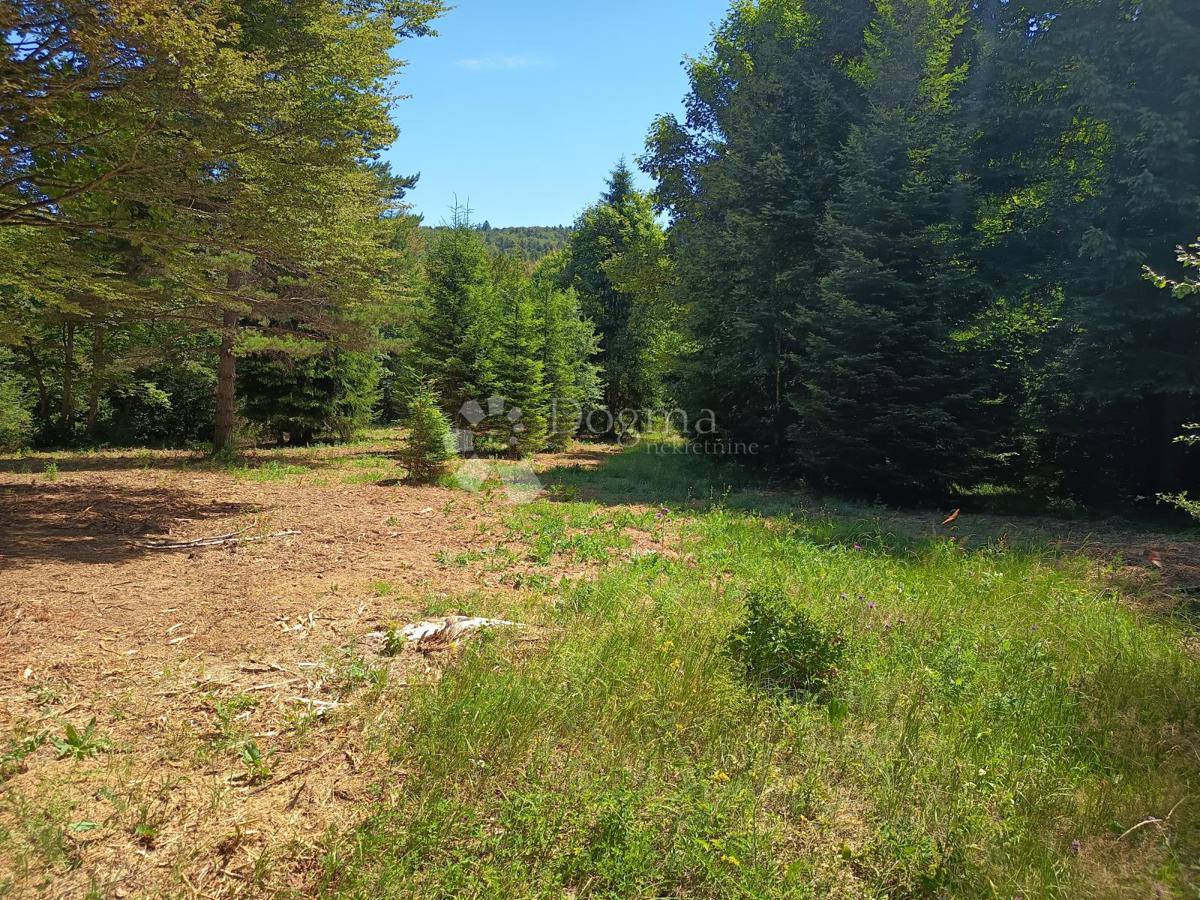 Terreno edificabile Saborsko, 4.514m2