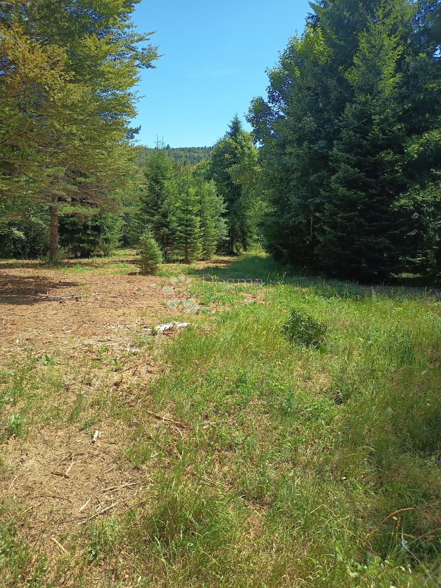 Terreno edificabile Saborsko, 4.514m2