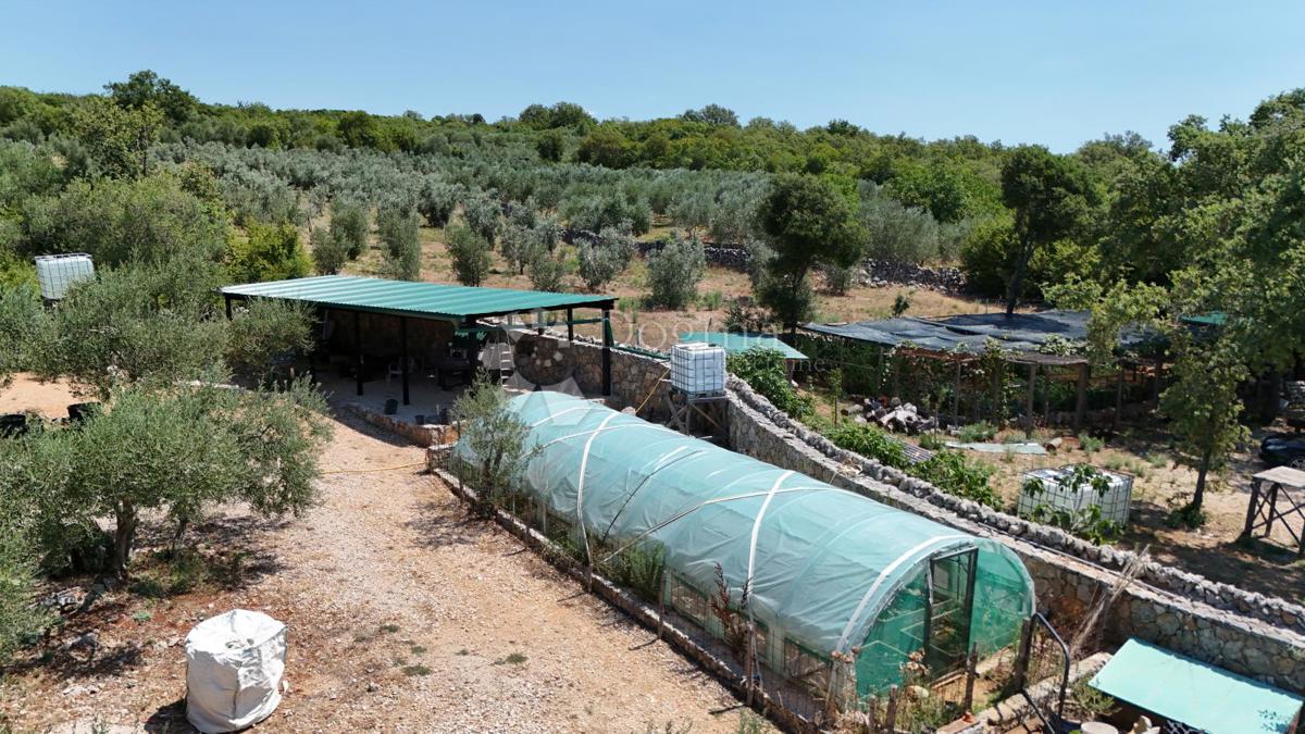 Terreno agricolo Brzac, Krk, 2.429m2