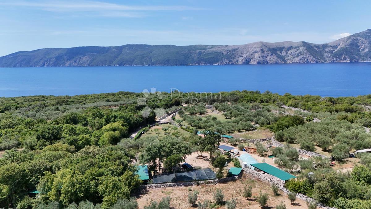 Terreno agricolo Brzac, Krk, 2.429m2