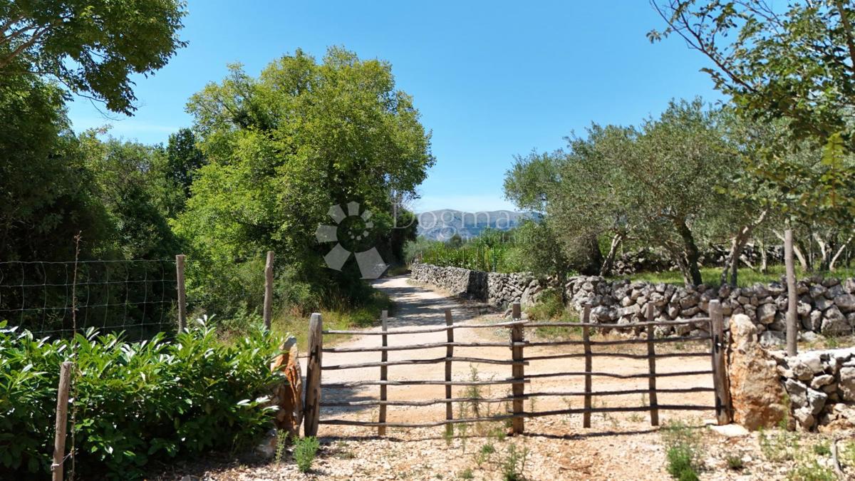 Terreno agricolo Brzac, Krk, 2.429m2