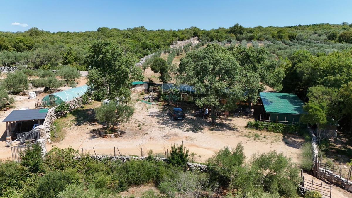 Terreno agricolo Brzac, Krk, 2.429m2