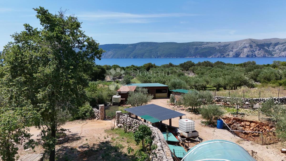 Terreno agricolo Brzac, Krk, 2.429m2