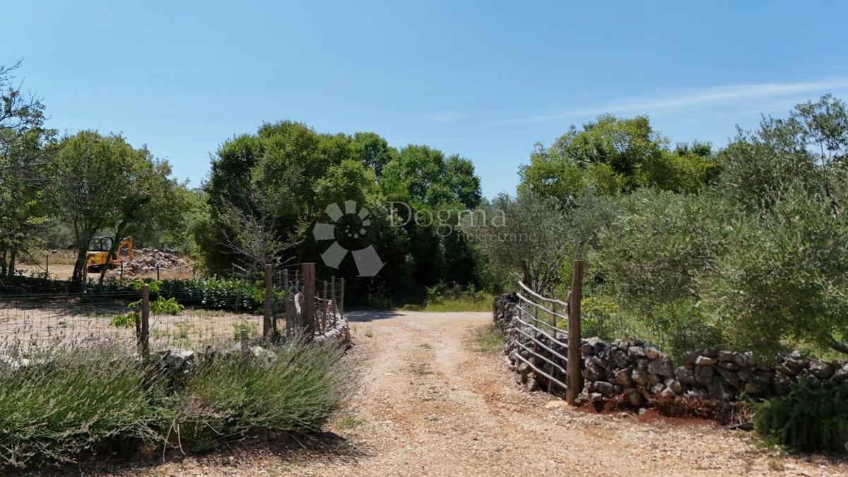 Terreno agricolo Brzac, Krk, 2.429m2