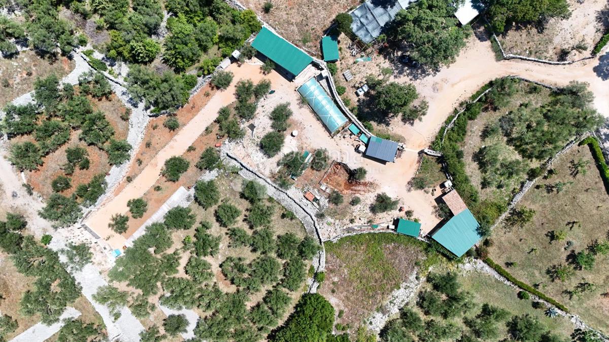 Terreno agricolo Brzac, Krk, 2.429m2
