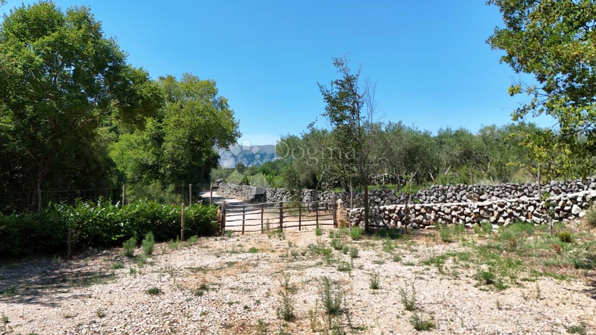 Terreno agricolo Brzac, Krk, 2.429m2