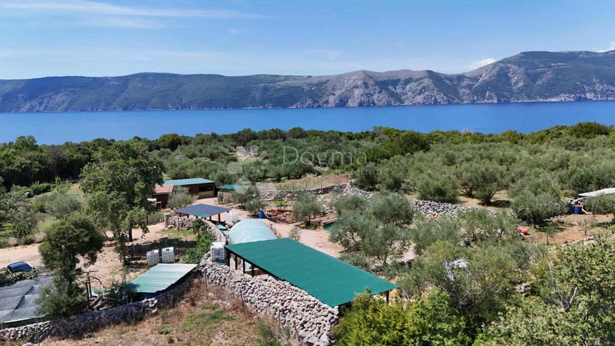 Terreno agricolo Brzac, Krk, 2.429m2