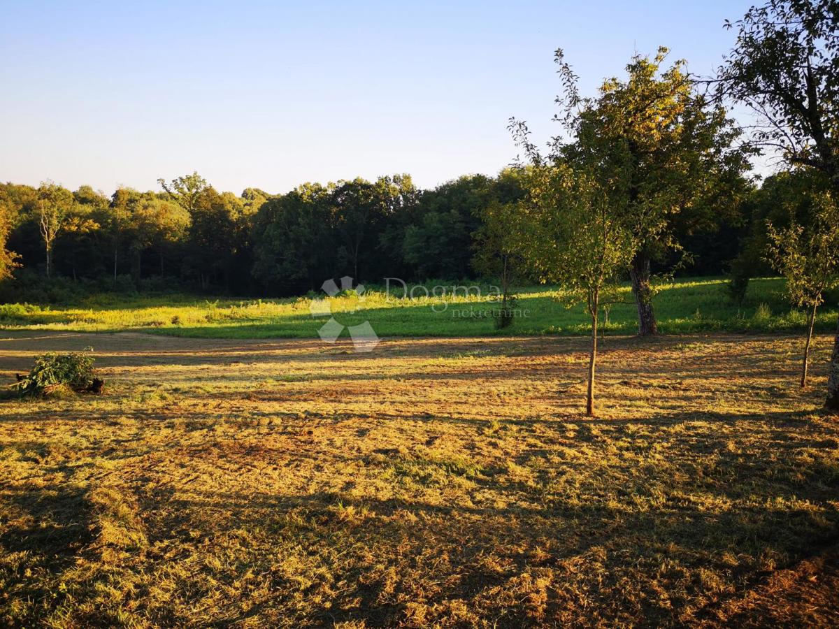 Casa Donji Hrastovac, Sunja, 48m2