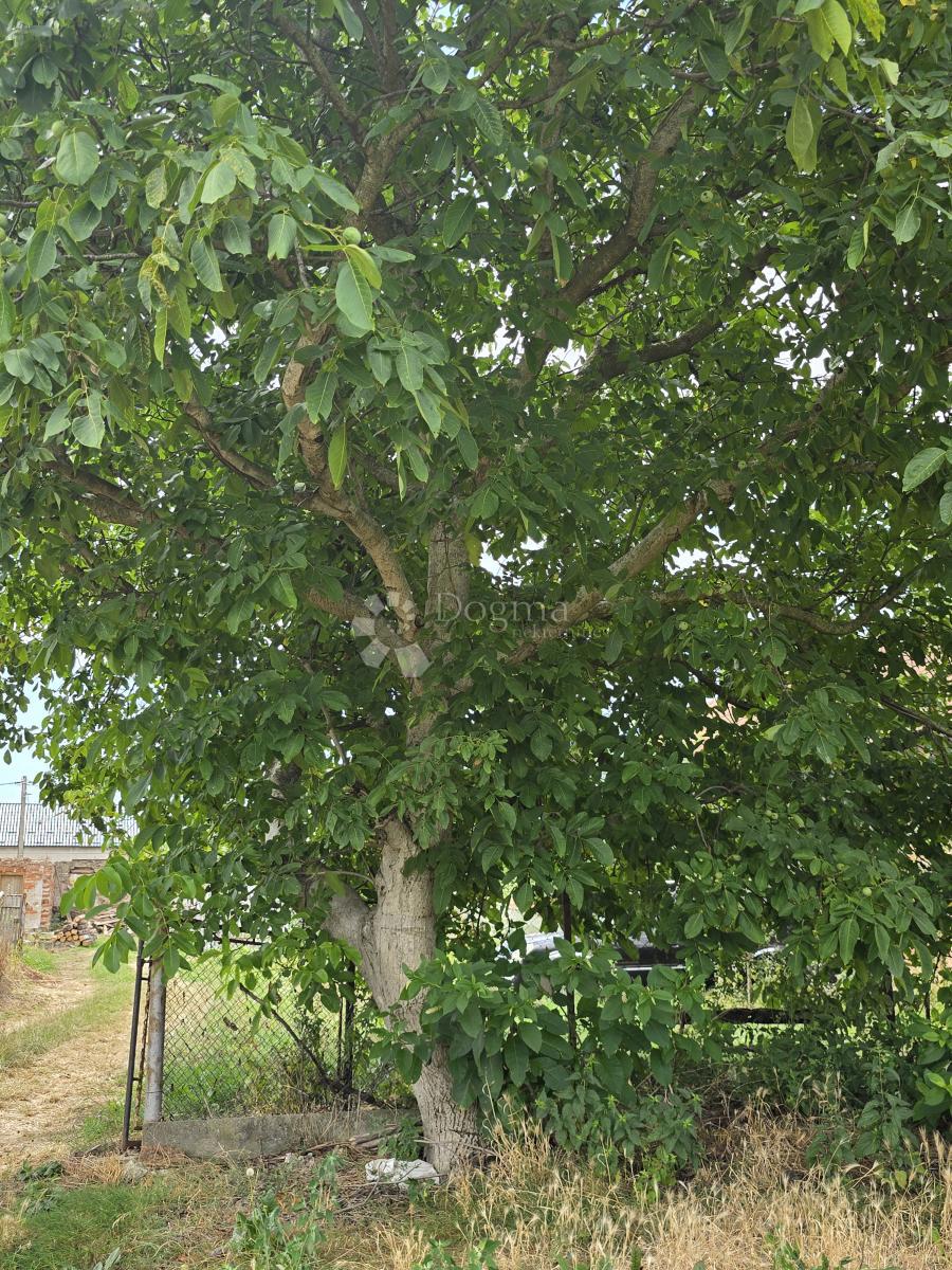 Terreno edificabile Gojanec, Varaždin - Okolica, 2.538m2