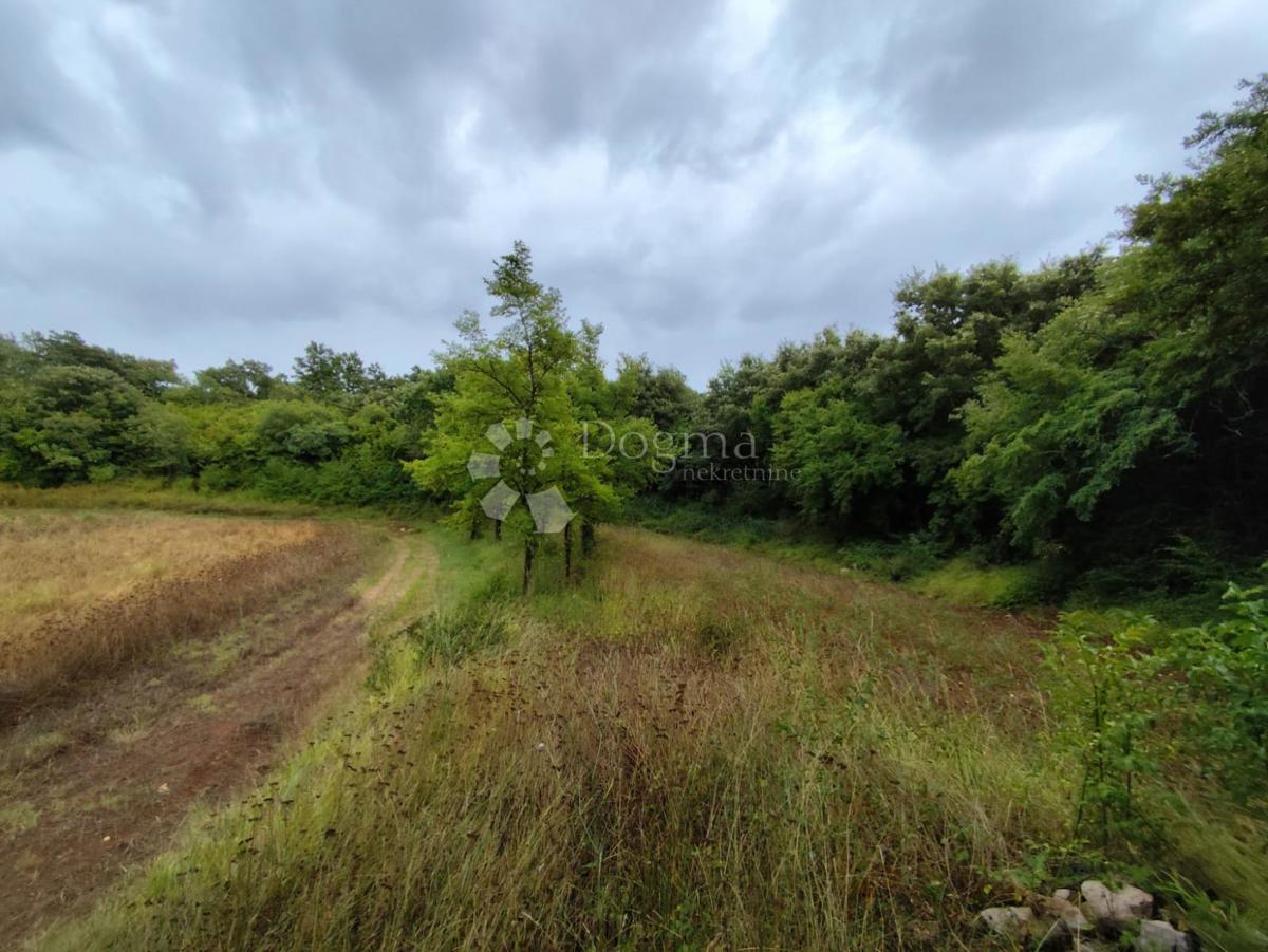 Terreno agricolo a Dignano