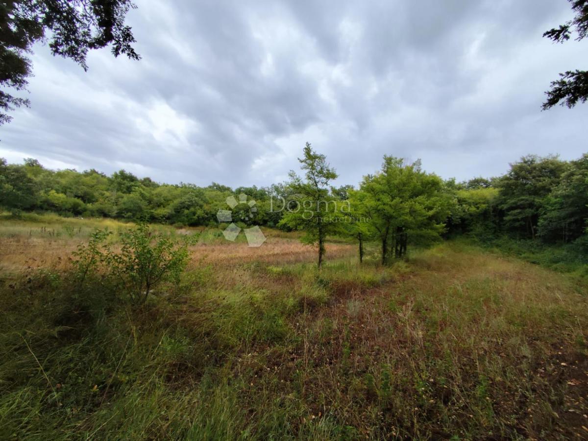 Terreno agricolo a Dignano