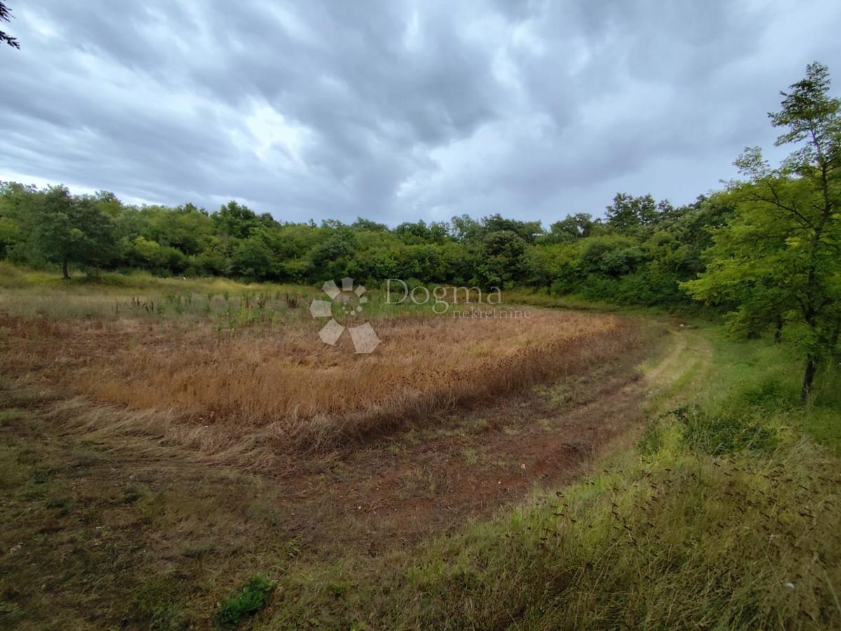 Terreno agricolo a Dignano