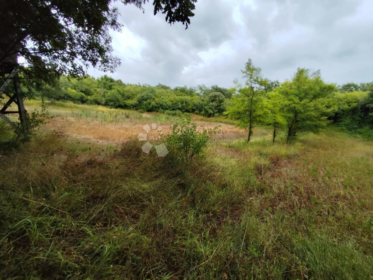 Terreno agricolo a Dignano