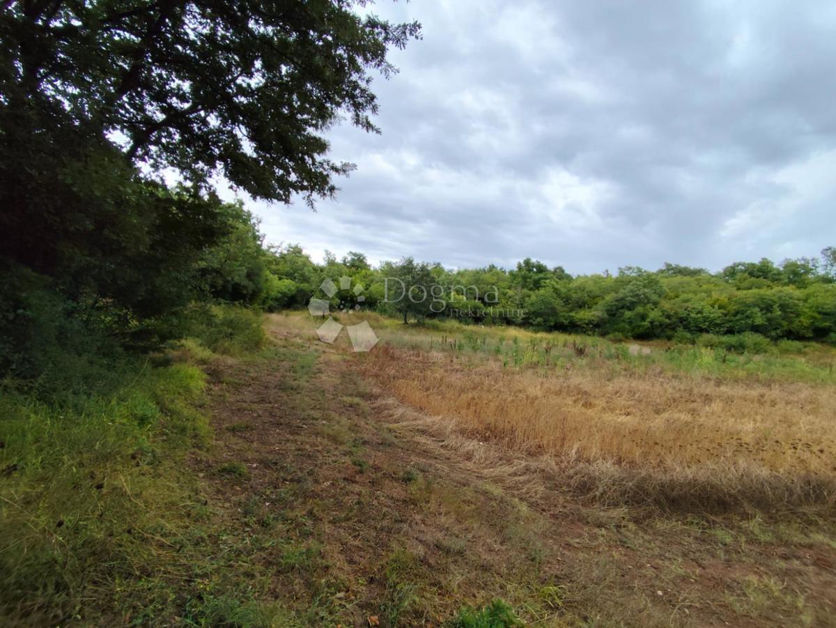 Terreno agricolo a Dignano