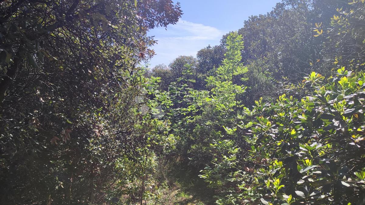 Terreno edificabile Kavran, Marčana, 1.409m2