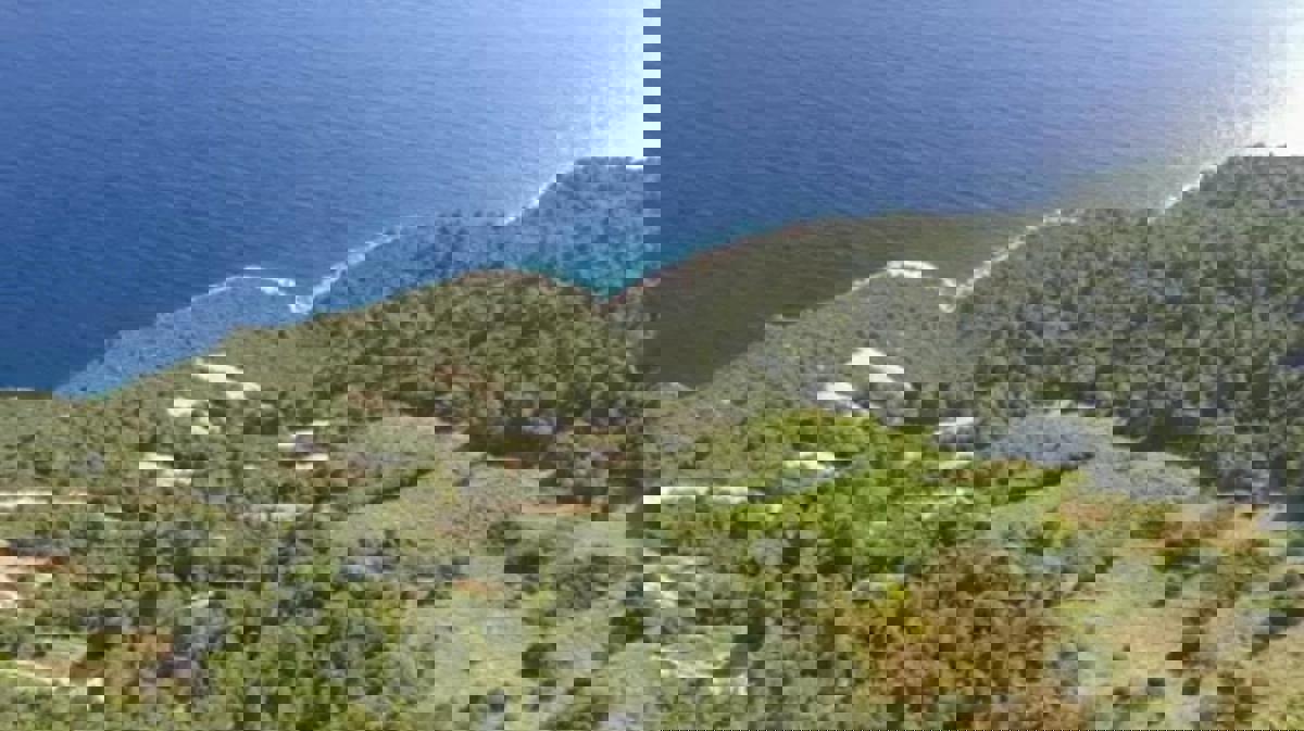 Occasione della Vita – Azienda Agricola nel Cuore di Dingač