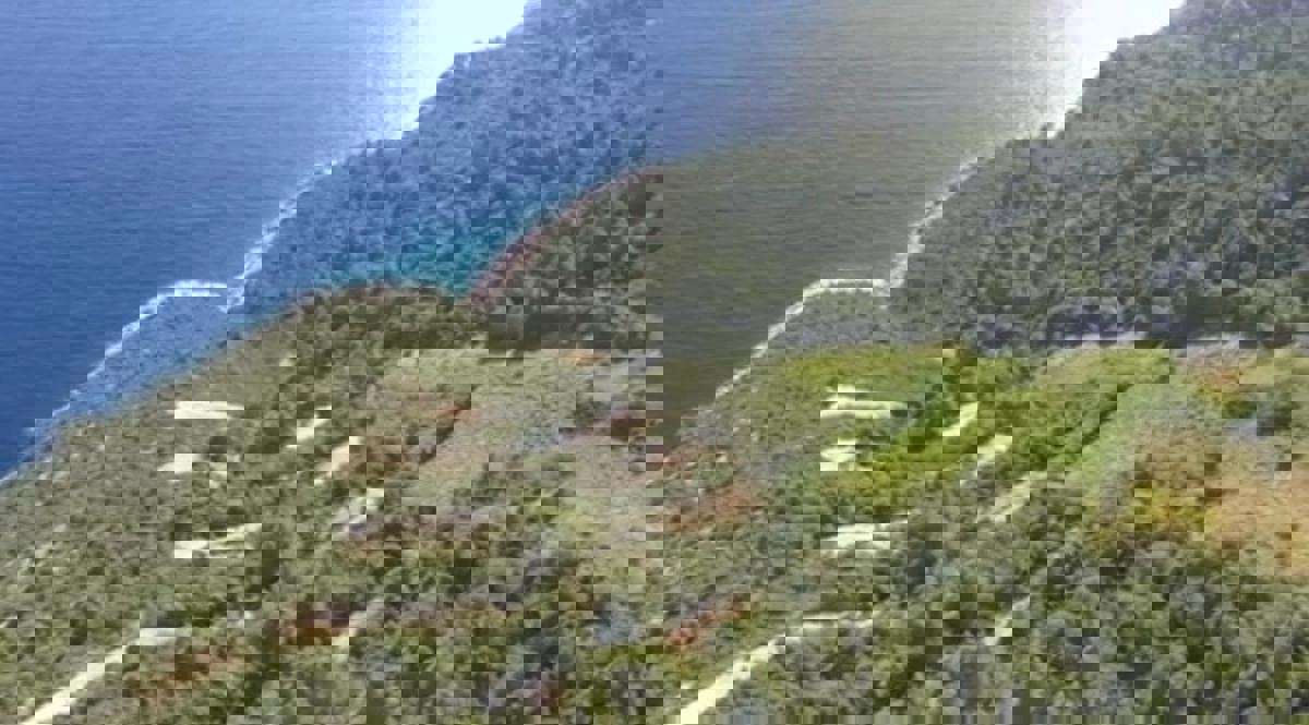 Occasione della Vita – Azienda Agricola nel Cuore di Dingač