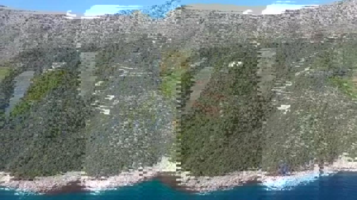 Occasione della Vita – Azienda Agricola nel Cuore di Dingač