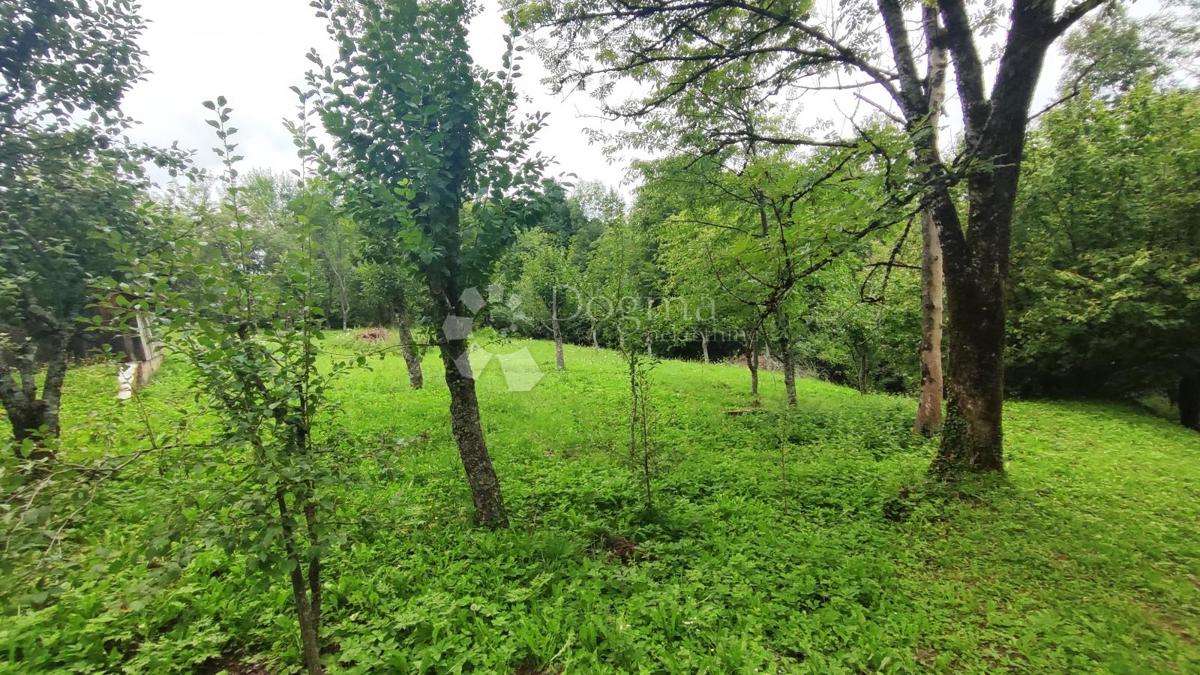 Casa Divjake, Skrad, 120m2