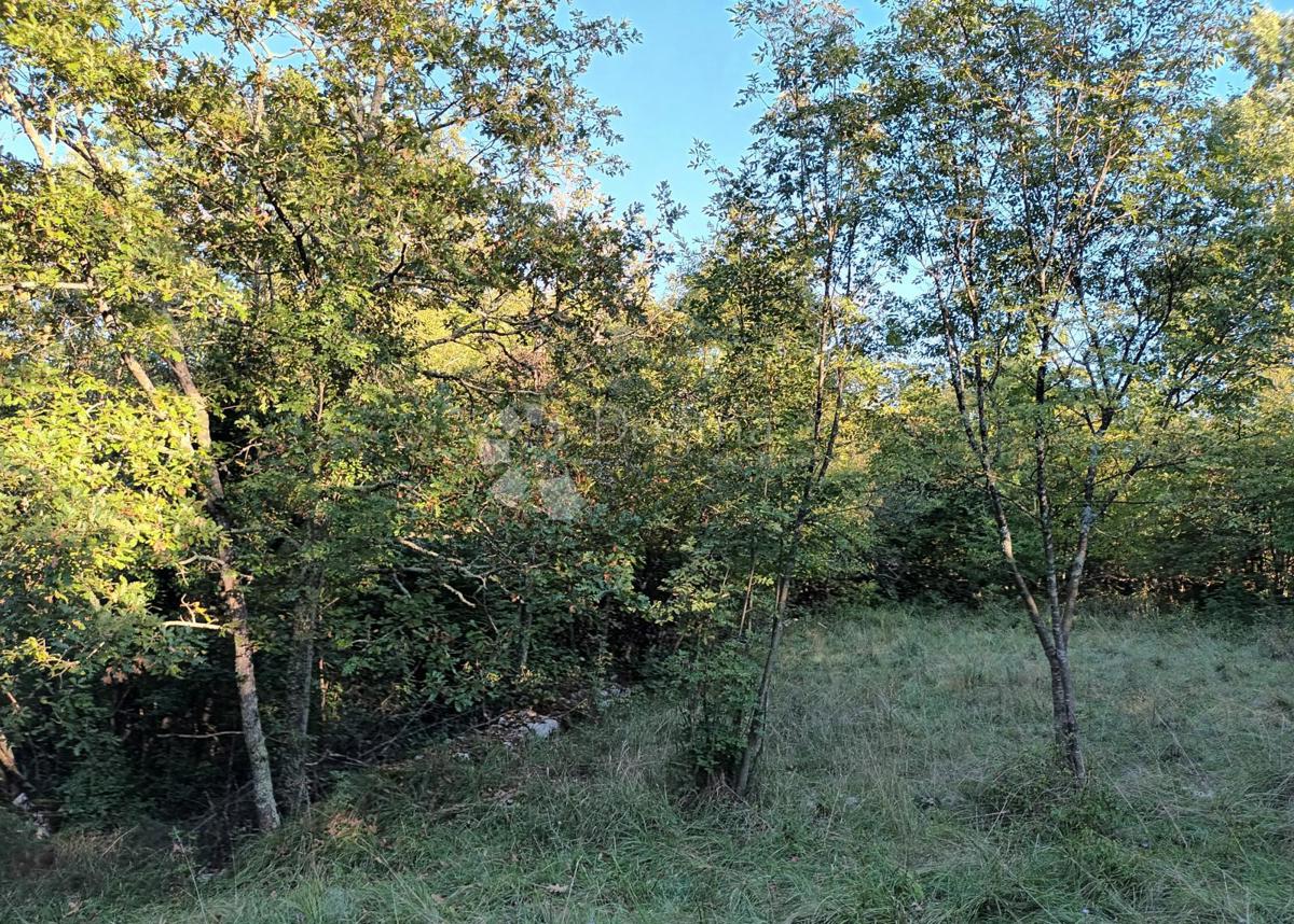 Terreno agricolo Kastav, 9.199m2