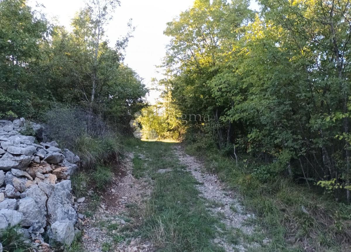 Terreno agricolo Kastav, 9.199m2