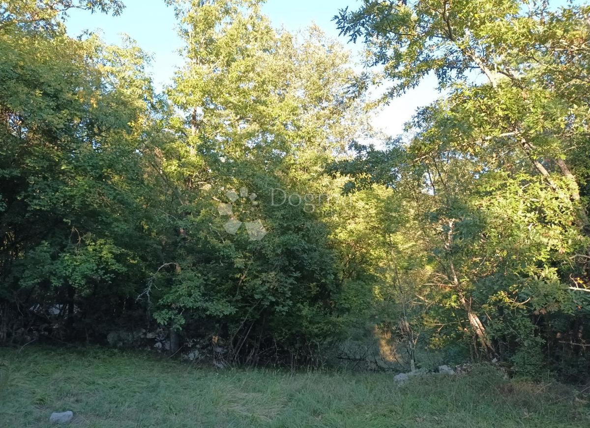 Terreno agricolo Kastav, 9.199m2