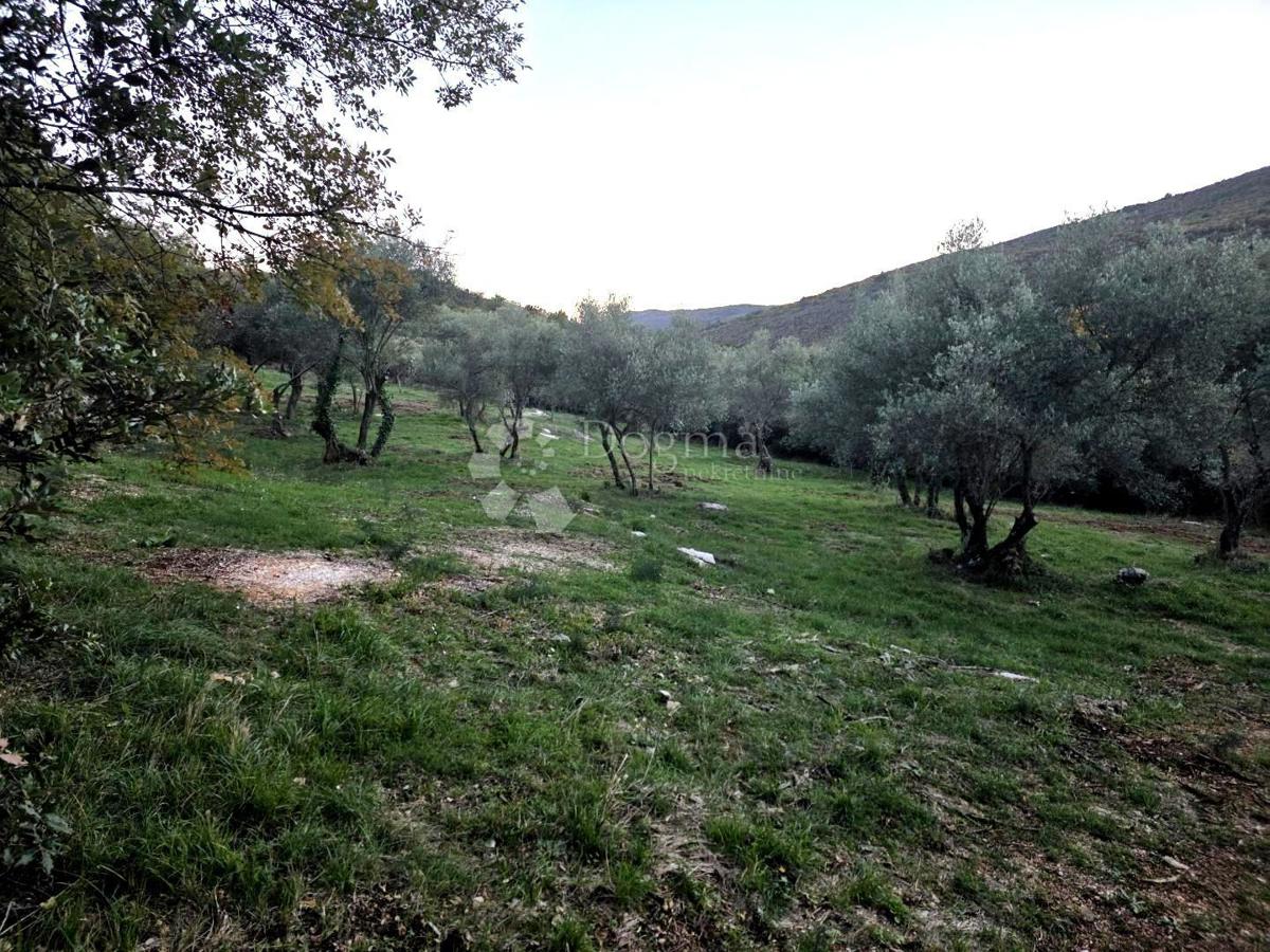 Terreno agricolo Labin, 8.200m2