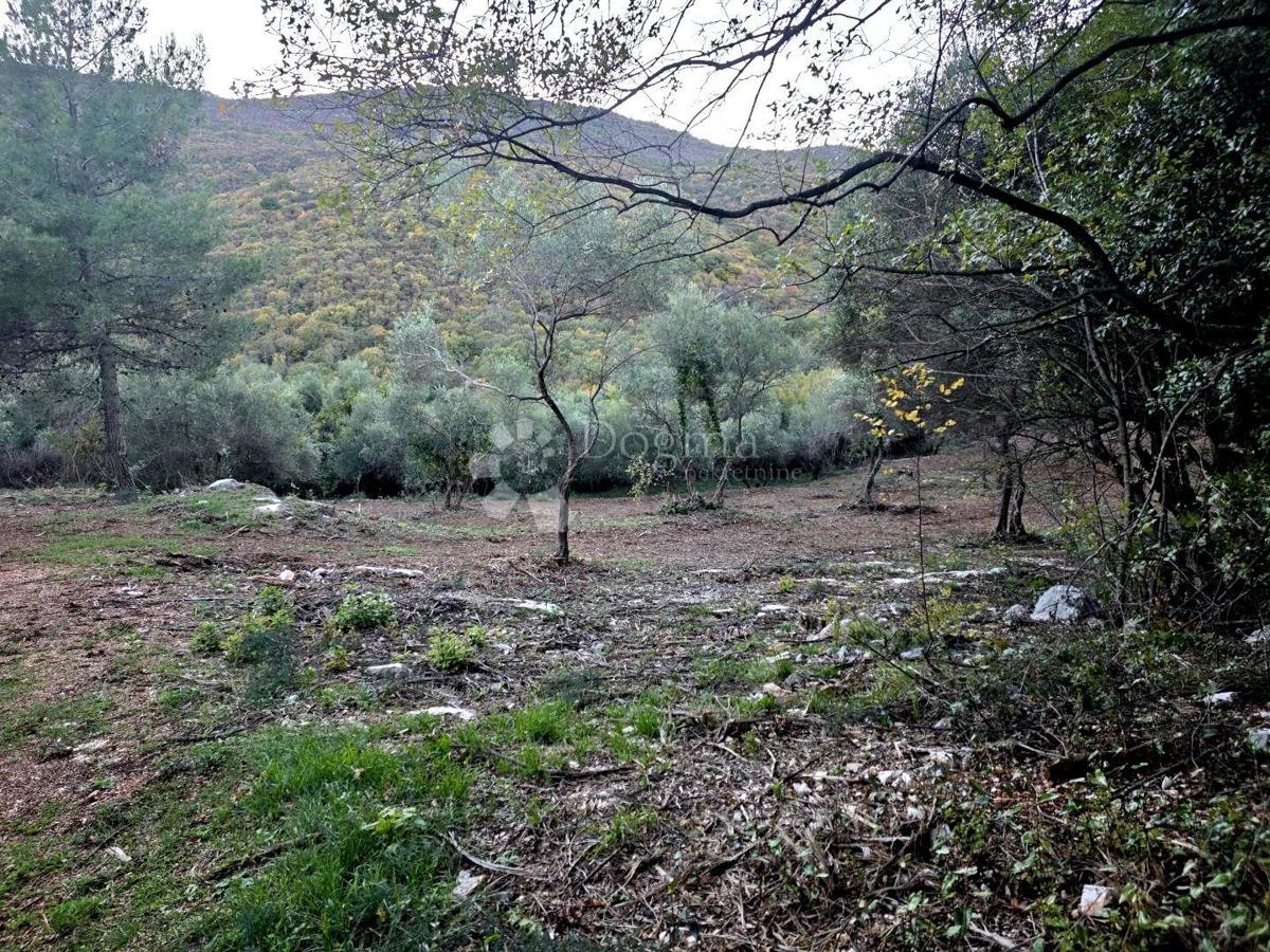 Terreno agricolo Labin, 8.200m2