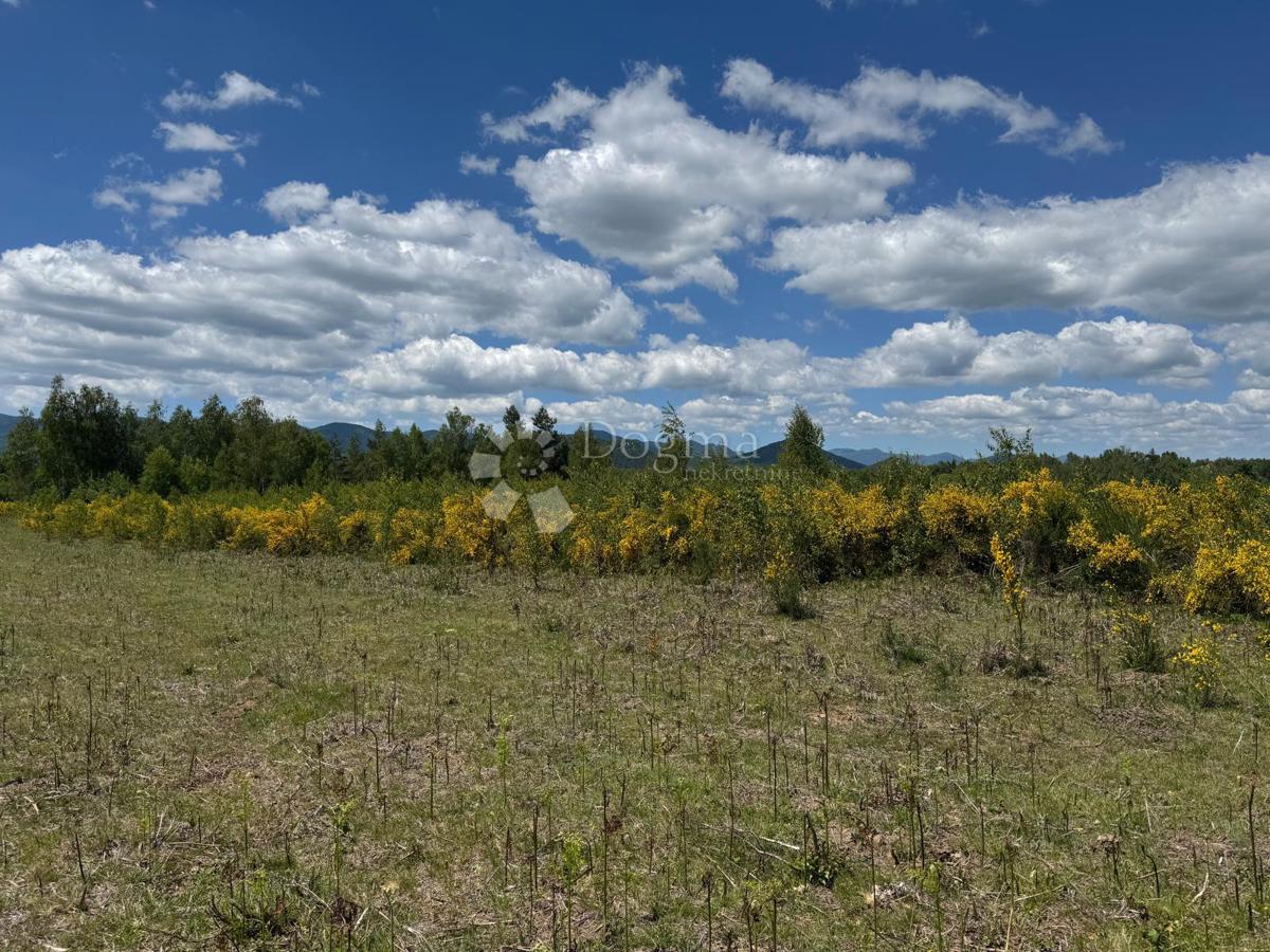 Terreno agricolo Smiljansko Polje, Gospić - Okolica, 9.000m2