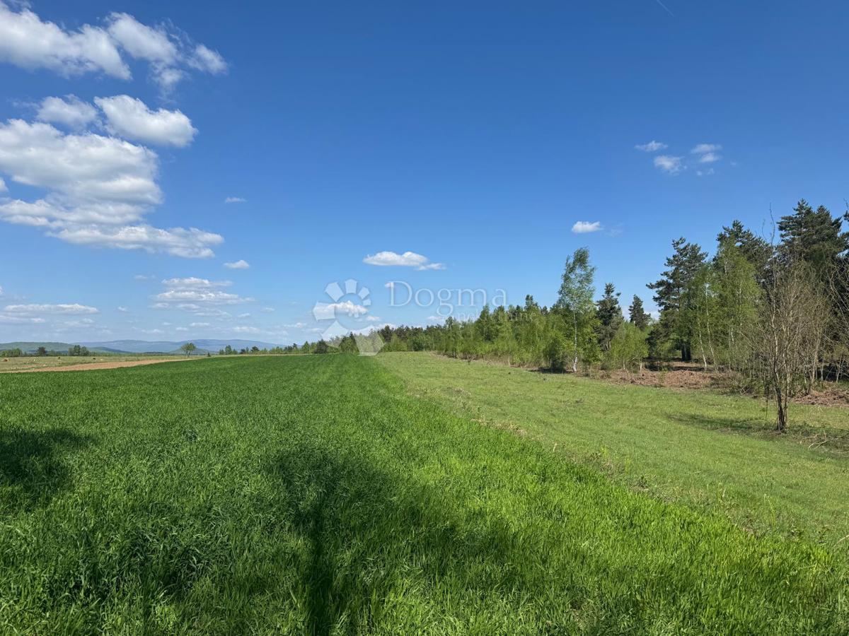 Terreno agricolo Smiljansko Polje, Gospić - Okolica, 9.000m2