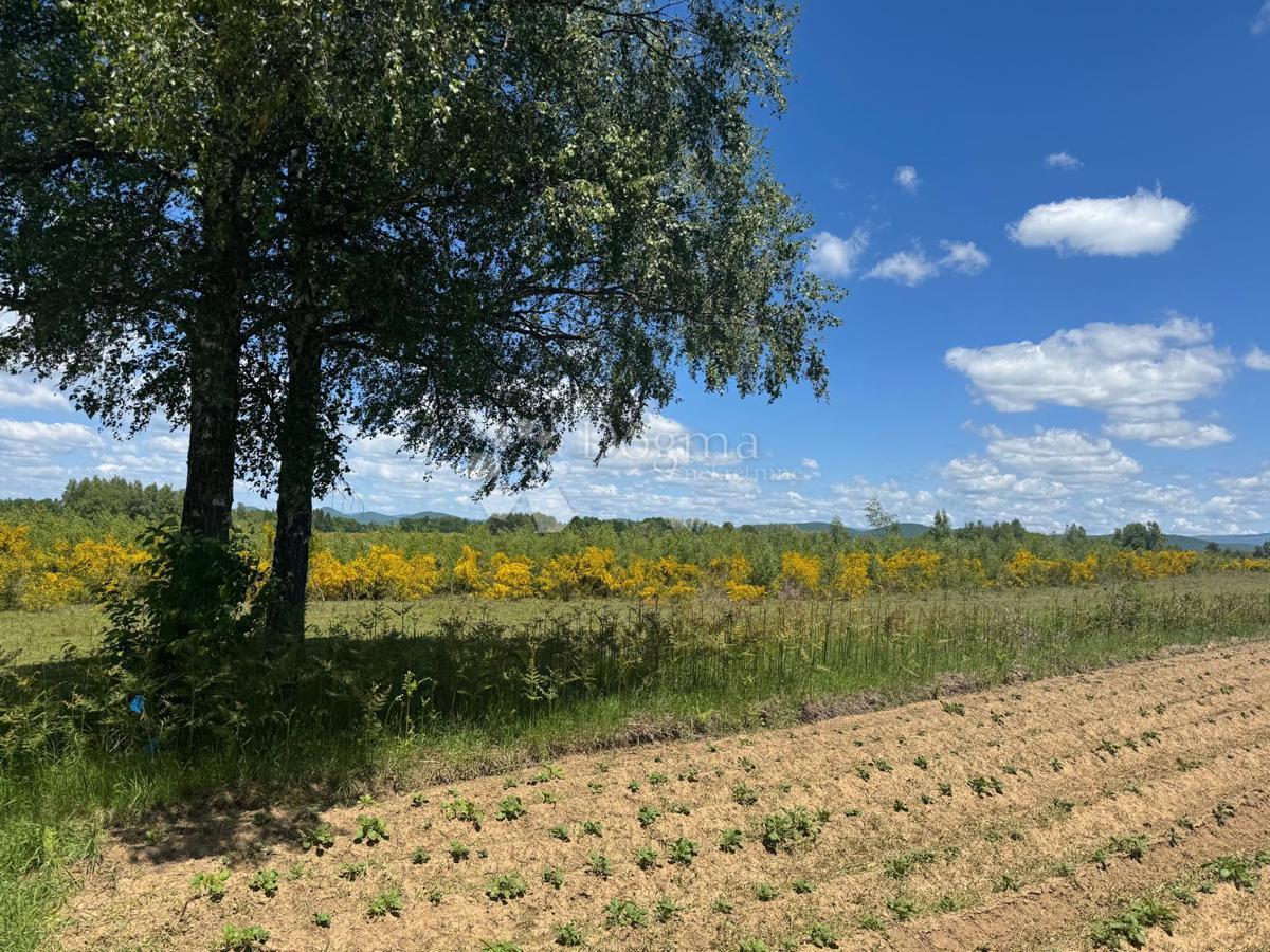 Terreno agricolo Smiljansko Polje, Gospić - Okolica, 9.000m2