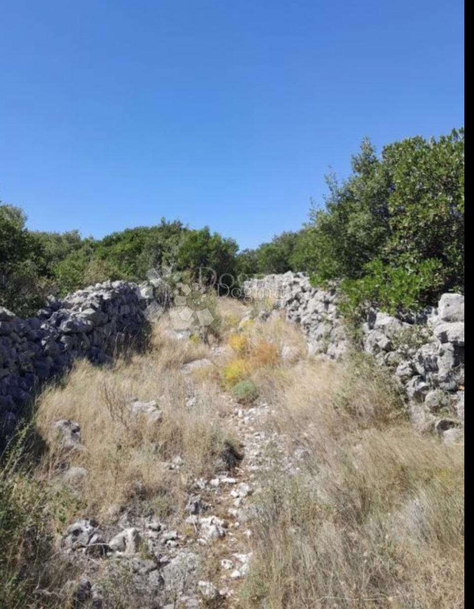 Terreno edificabile Močići, Konavle, 3.002m2