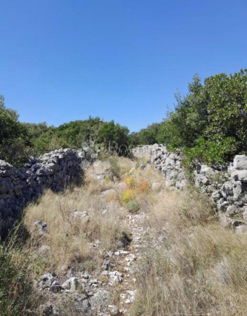 Terreno edificabile Močići, Konavle, 3.002m2