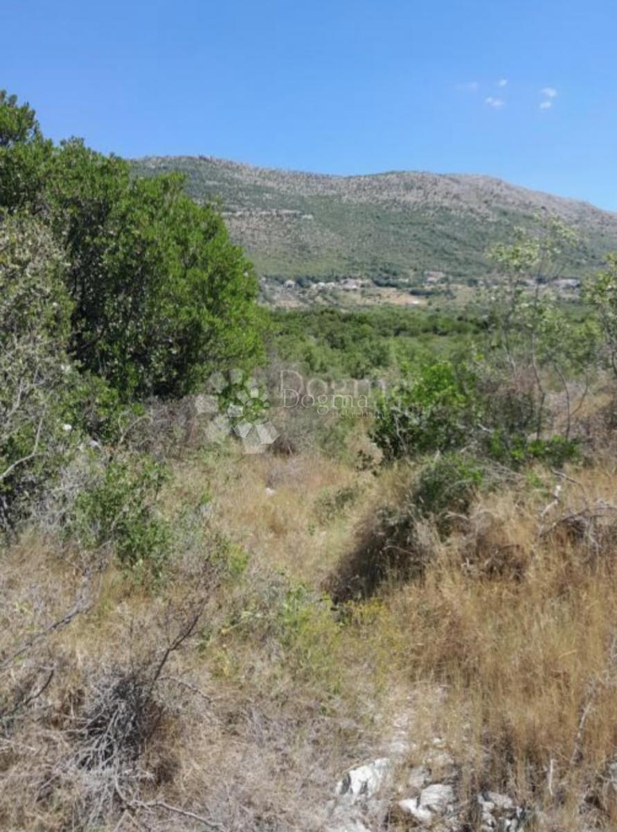 Terreno edificabile Močići, Konavle, 3.002m2
