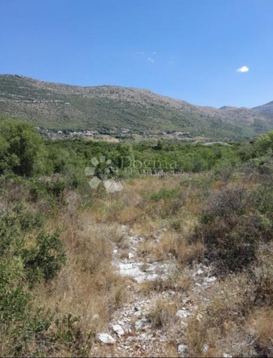 Terreno edificabile Močići, Konavle, 3.002m2